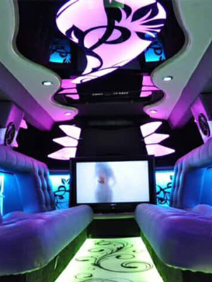 Party bus limo buses int view