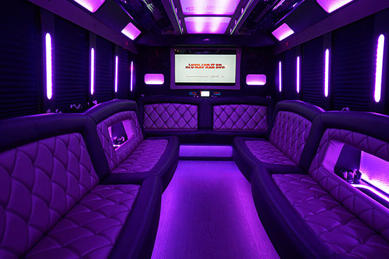 15-passenger party bus interior 2