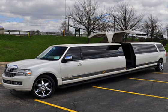 22 passenger limousine