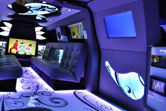 22 passenger limousine interior 2