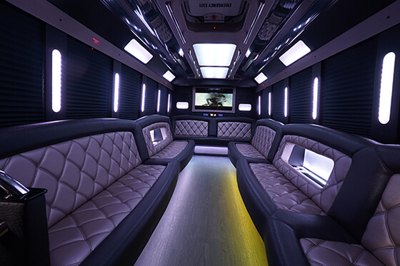 24-passenger party bus interior 2